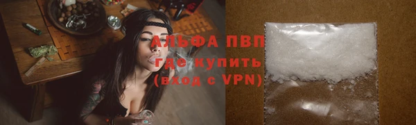 СК Горно-Алтайск