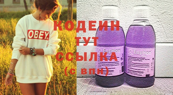 таблы Гусев