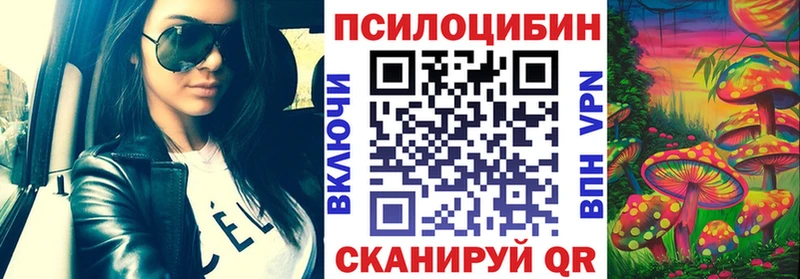 Псилоцибиновые грибы Psilocybine cubensis  как найти   Павловск 